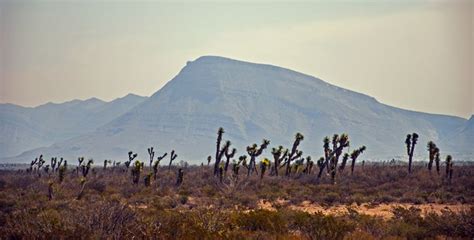 Mexican desert - Elisa Gianola Fornari - Photography, Landscapes ...