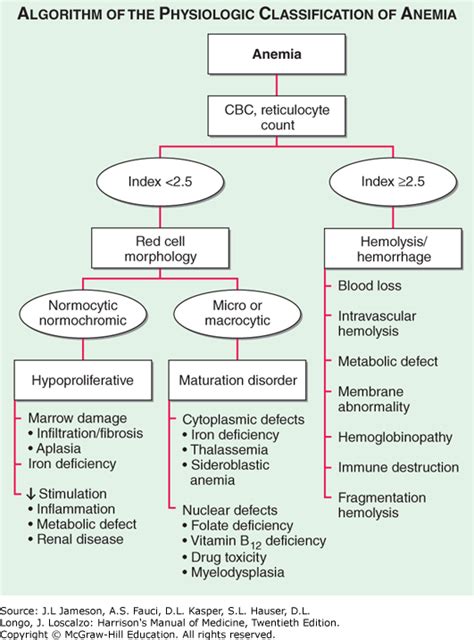 Anemia Treatment Chart