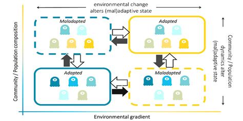 Contemporary biodiversity change - Leverhulme Centre for Anthropocene Biodiversity, University ...