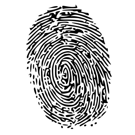 Fingerprint PNG Transparent Images | PNG All