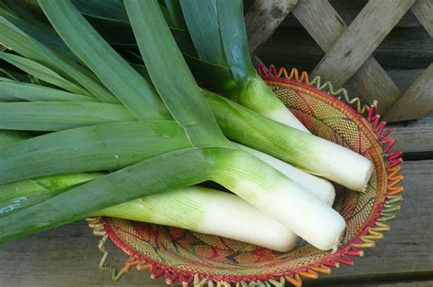 Grilled Leeks | Recipes from Nash's Organic Produce