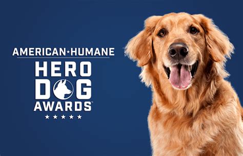 American Humane Hero Dog Awards - TV Insider