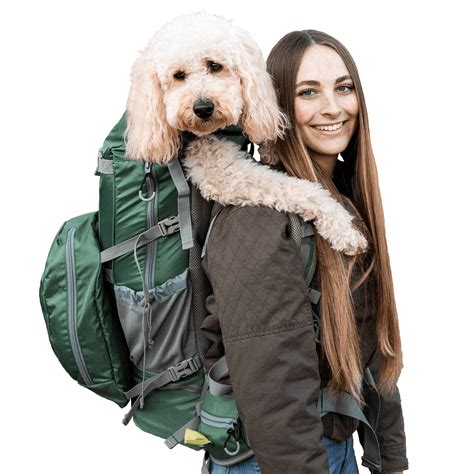 Are Dog Carrier Backpacks Safe