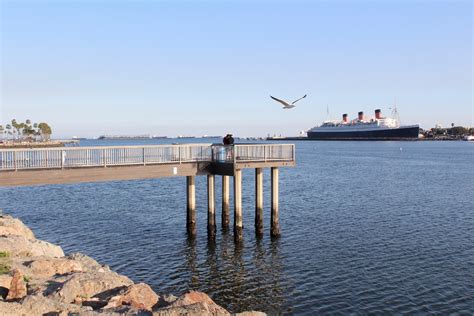 Shoreline Aquatic Park Piers — Long Beach - Pier Fishing in California