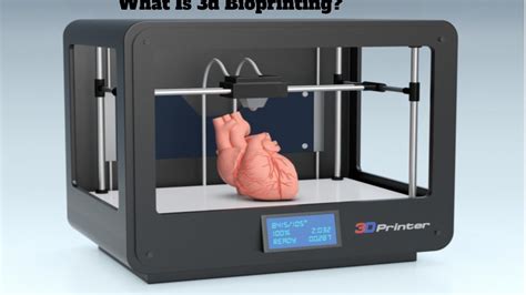 What Is 3d Bioprinting - Simply Explained