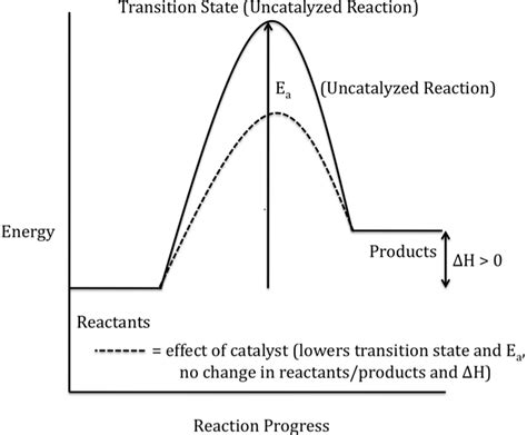 How is the energy level of the products affected by the presence of a ...