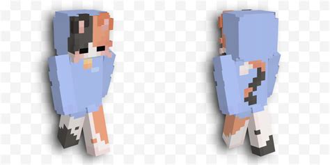 This Minecraft skin from Avixy_ has been worn by 26 players and has the following tags: Cat ...