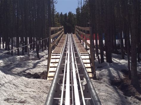 The Mountain Coaster In Colorado That Will Take You On A Ride Of A Lifetime