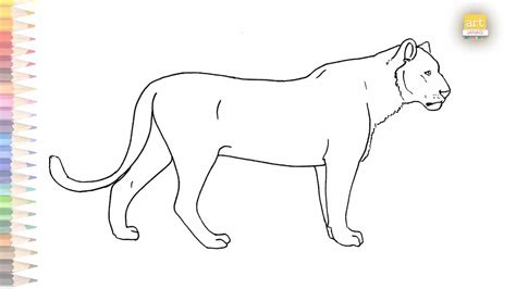 How To Draw A Lioness
