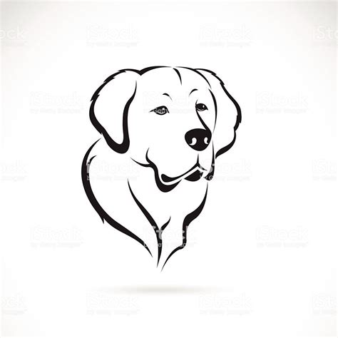 Golden Retriever Drawing Outline : Labrador Dog Retriever Golden ...