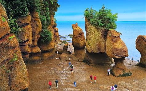 5-five-5: Bay of Fundy (Canada)