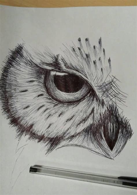 owl sketch by cdkingof1982 on DeviantArt