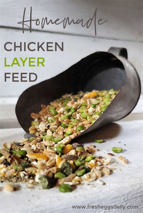 How to Make Homemade Whole Grain Chicken Feed - Fresh Eggs Daily®