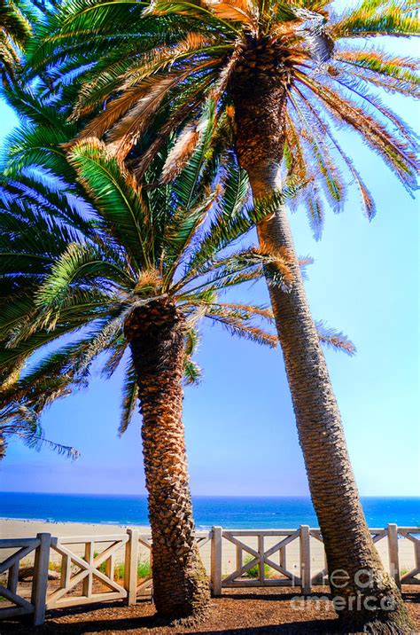 Pacific Palisades Park Photograph by Kelly Wade - Fine Art America