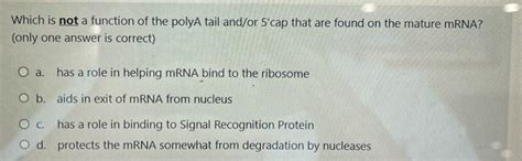 Solved Which is not a function of the polyA tail and/or 5′ | Chegg.com