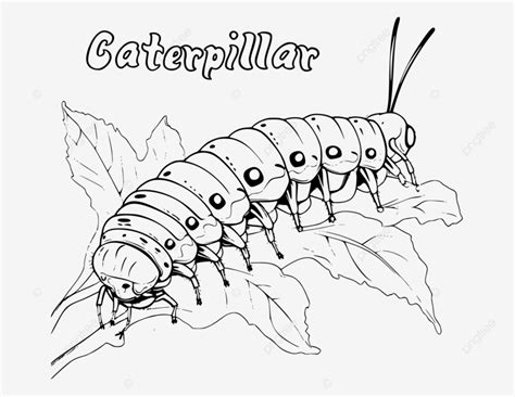 Caterpillar Coloring Page For Kids 6511 Vector, Caterpillar Coloring ...