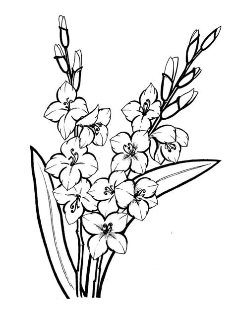 Image result for gladiolus flower outline | Páginas para colorear de ...