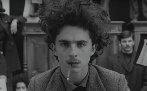 ‘The French Dispatch’ Trailer: Wes Anderson Directs Timothee Chalamet | IndieWire