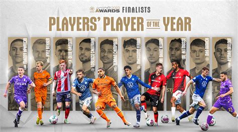 CPL Reveals Players' Player Of The Year Nominees - Northern Tribune