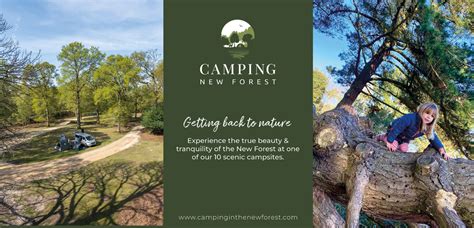 New Forest Camping | Caravan Parks - The New Forest