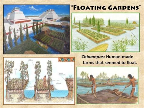 Aztec Floating Gardens | Fasci Garden