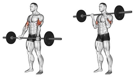 Barbell Curl Grip Variations - Ignore Limits