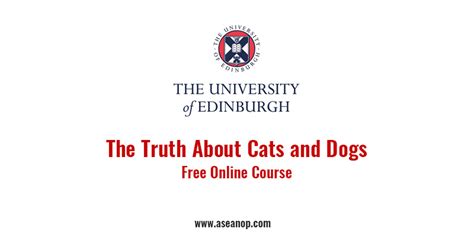 The Truth About Cats and Dogs - ASEAN Scholarships