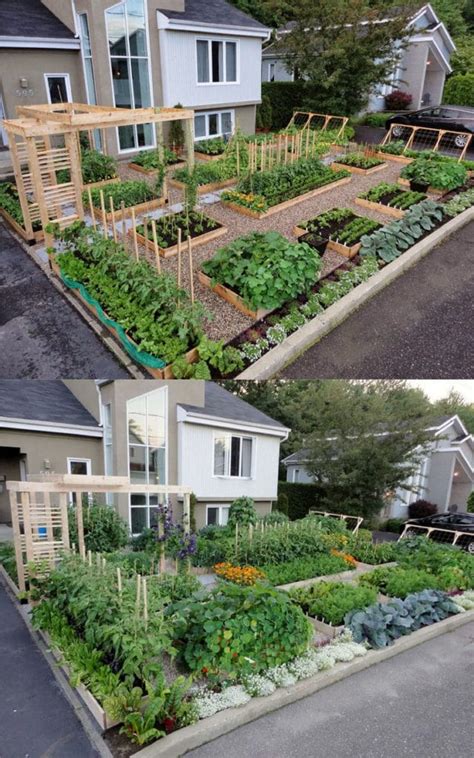 Vegetable Garden Layout Ideas