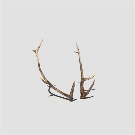 Antlers 3D Model $5 - .unknown .dae .fbx .obj .blend - Free3D