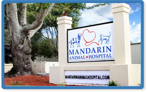 Jacksonville Florida Animal Hospital | South Jacksonville Vets