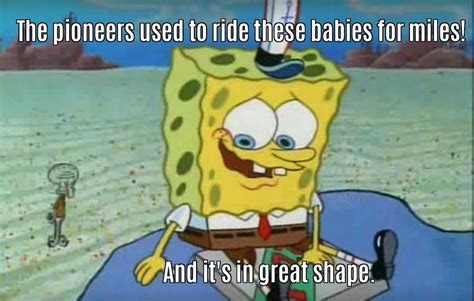 25 Of The Most Hilarious "SpongeBob" Quotes