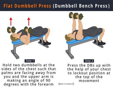 Correct Dumbbell Bench Press Form Store | head.hesge.ch