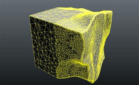 3D-Coat blog by Christoph Werner: Insider news: Mesh-Export out of the voxel room improved