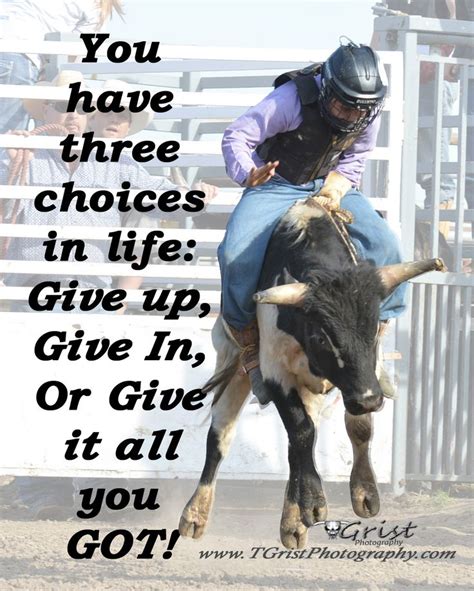 18 Lovely Funny Bull Riding Quotes