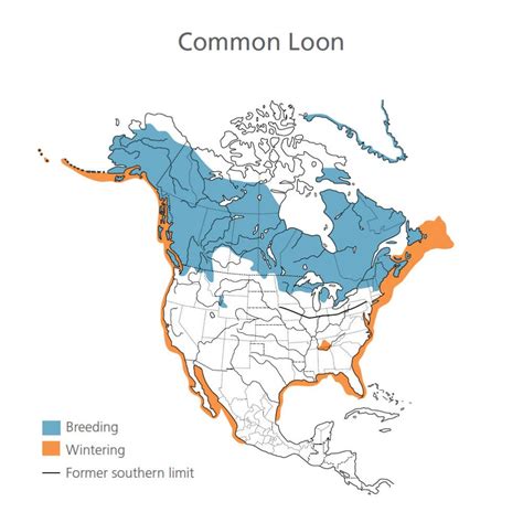 Freshwater Wetlands | The New York State Museum