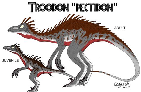 JP: Troodon 'pectidon' V.2 by Sinncrow on DeviantArt