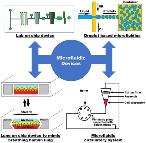 Biosensors | Free Full-Text | Applications of Microfluidics and Organ-on-a-Chip in Cancer Research