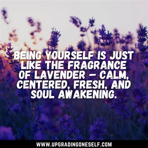 Top 15 Refreshing Quotes About Lavender To Blow Your Mind