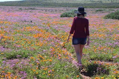 Travel | West Coast National Park | Tulips and Phoenixes