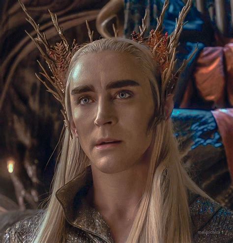 Thranduil Orlando Bloom Legolas, Lee Pace Thranduil, Elven Queen, Legolas And Thranduil, Misty ...