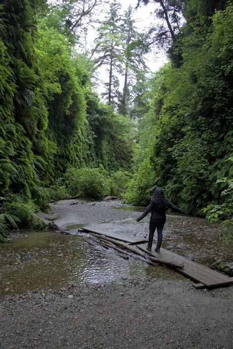 Hike Through Fern Canyon - Jurassic Park in the Redwoods