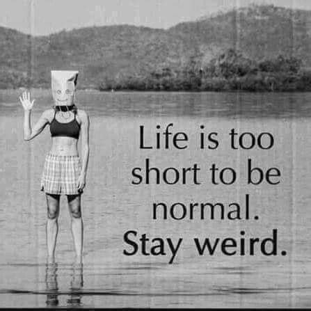 Pin by Holly Hume on Quotes to live by | Stay weird quotes, Life quotes to live by, Quirky quotes