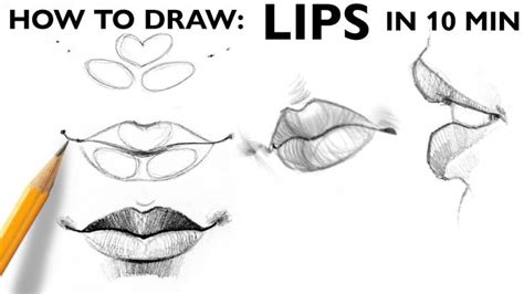 How to Draw Lips: Basic Steps