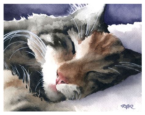 CAT SLEEPING Art Print by Watercolor Artist DJ Rogers - Etsy