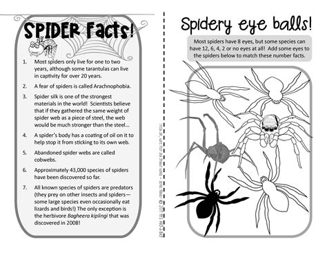 Spiders! {A booklet of activities celebrating the spider’s life cycle}