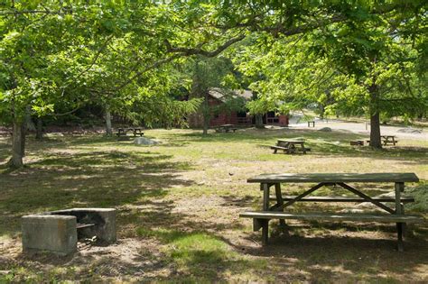 Burlingame State Park | Rhode Island State Parks