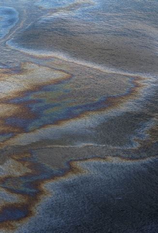 BP Oil Spill timeline | Timetoast timelines