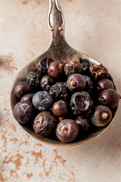 A Guide To Juniper Berries - Whisked Away Kitchen