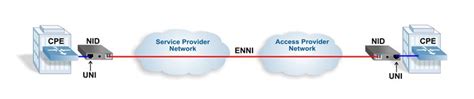 The Carrier Ethernet Ecosystem