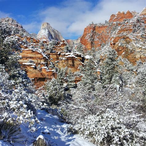 Top 10 Reason to visit Zion National Park during the winter off-season is a great idea